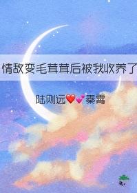 情敌变成我的猫