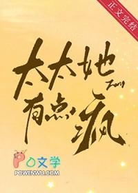 太太她有点疯 笔趣阁