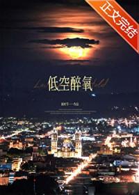 低空醉氧txt