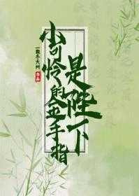 小可怜手握爽文剧本晋江