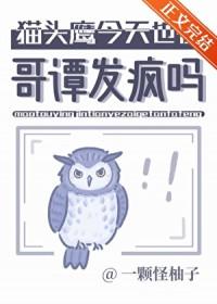 猫头鹰ovo