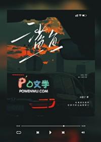 鲨鱼宝宝动画片全集免费