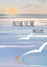 知遥一夏