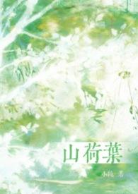山荷叶有毒吗
