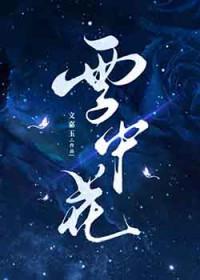 雪中花中文歌词