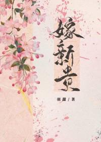 嫁新贵by无弹窗笔趣阁在线阅读
