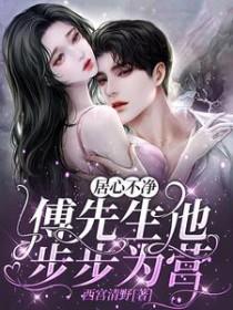 居心不净傅先生他步步为营免费阅读