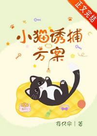 诱捕猫用什么食物