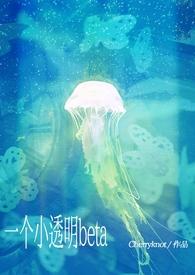 小透明beta被痴汉包围chevy