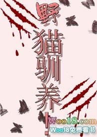 野猫驯养魏承泽txt