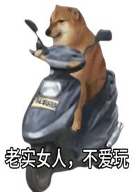 老实女人不爱玩快穿优美的矩形