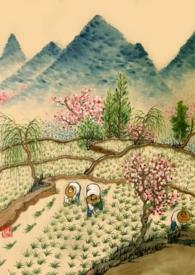 重生年代文的路人甲在线阅读