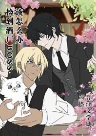 [综漫] 捡到酒厂BOSS幼年体该怎么办