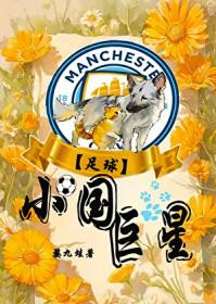 [足球] 小国巨星