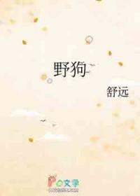野狗